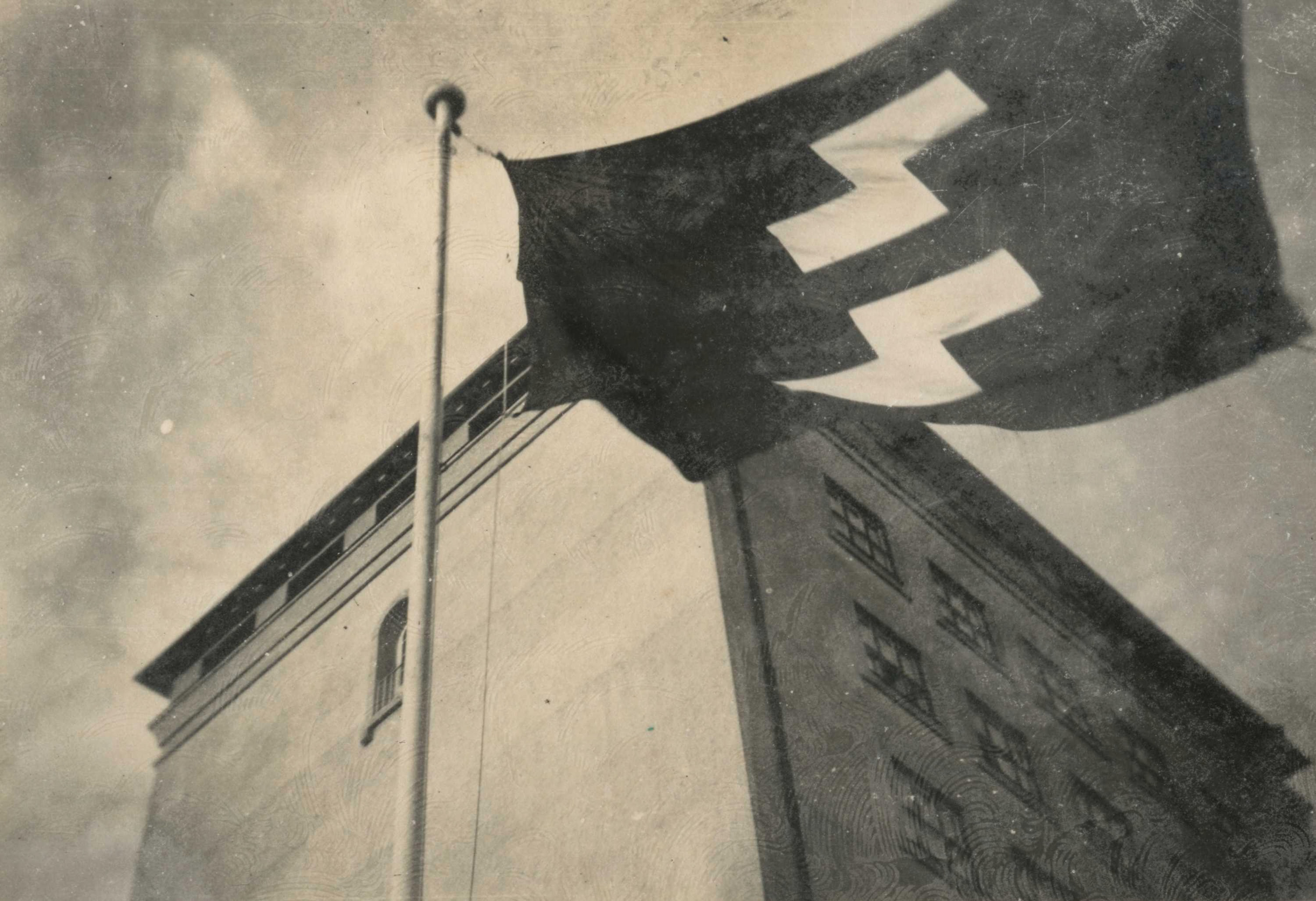 SS vlag