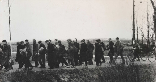 Groep Nederlandse mannen onder begeleiding van Duitse bewakers