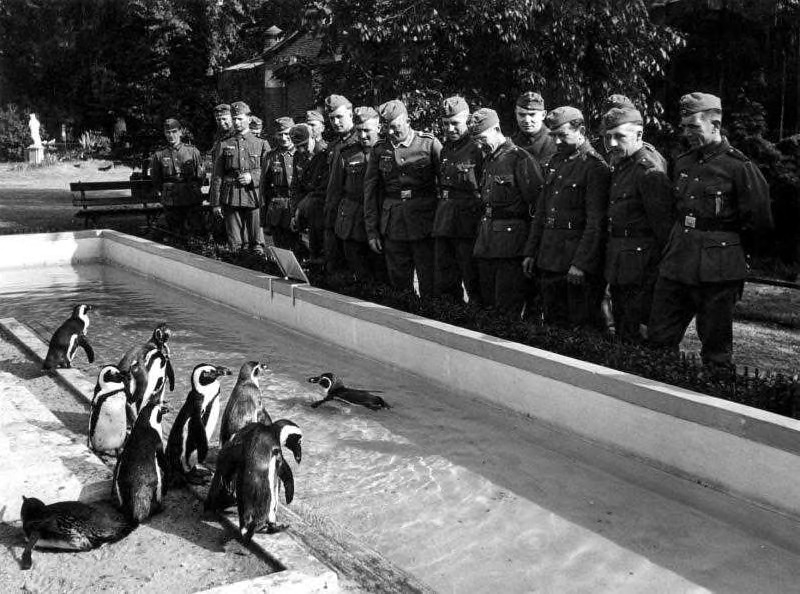 Duitse soldaten in Artis in mei 1940