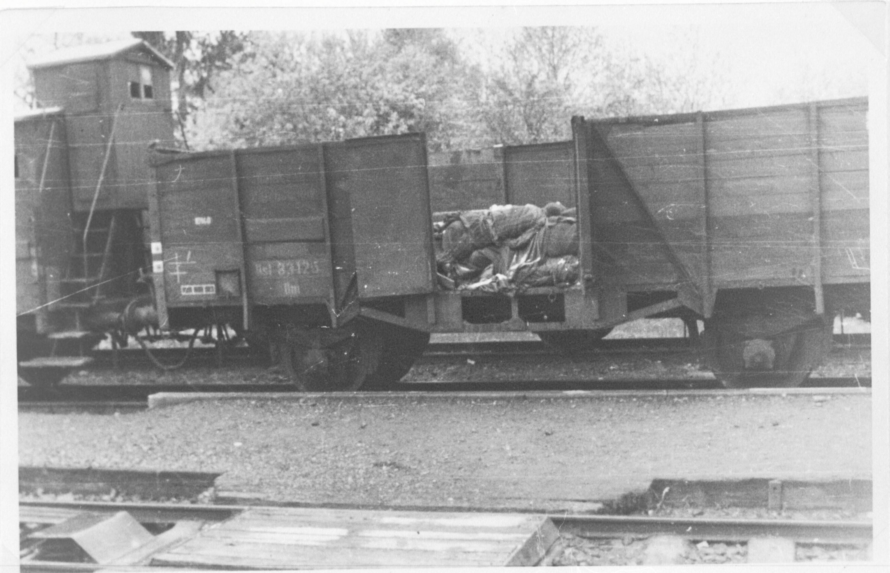 Treinwagons met doden bij Kamp Hurlach