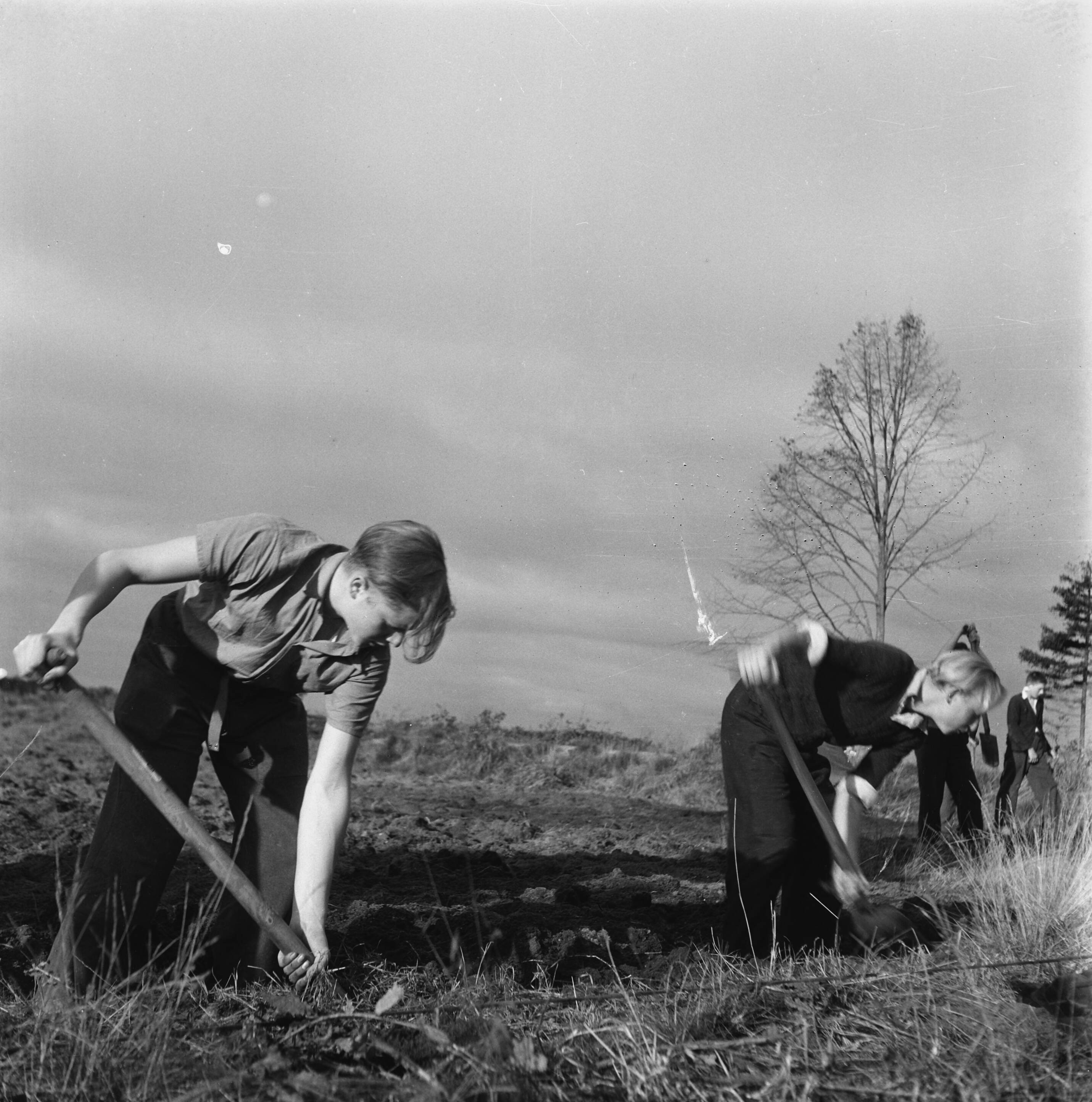 Fotoreportage gemaakt in oktober 1945 over de verzorging van NSB kinderen.